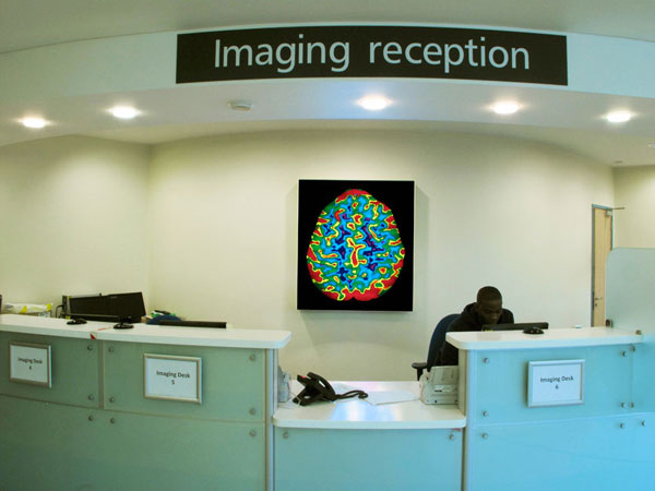 Meditating Brain. Royal Free Hospital